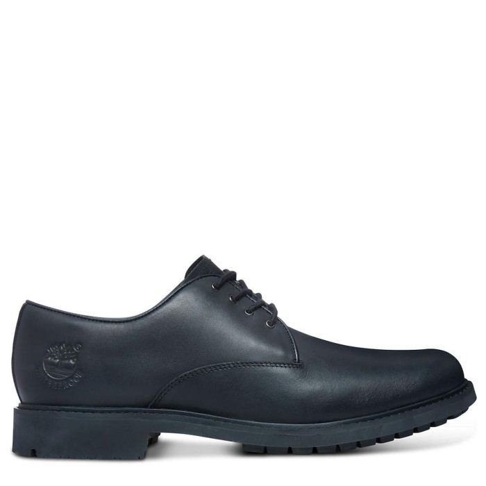 Mænd Earthkeepers Stormbuck Plain Toe Oxford Black Timberland
