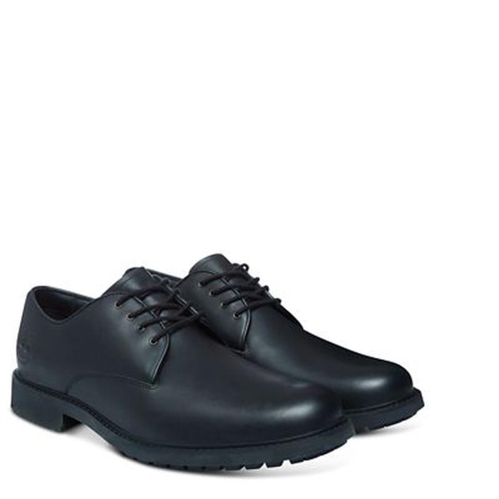 Mænd Earthkeepers Stormbuck Plain Toe Oxford Black Timberland