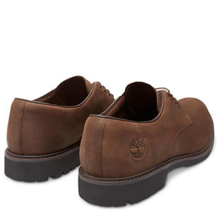 Timberland Brown Men Stormbucks Oxford