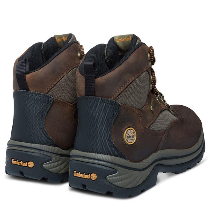 Kvinders Chocorua-sti Midt Med Gore-tex Støvle Brun Timberland