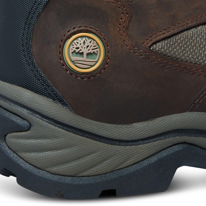 Kvinders Chocorua-sti Midt Med Gore-tex Støvle Brun Timberland