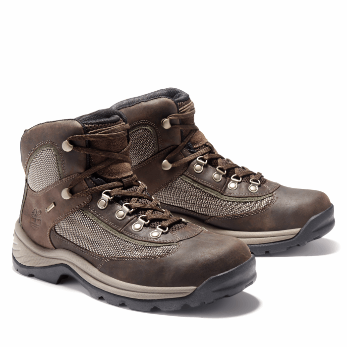 Mænd Plymouth Gore-tex Trail Hiker Brown Timberland