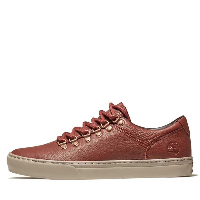 Mænd Adventure 2.0 Cupsole Alpine Træner Brun Timberland