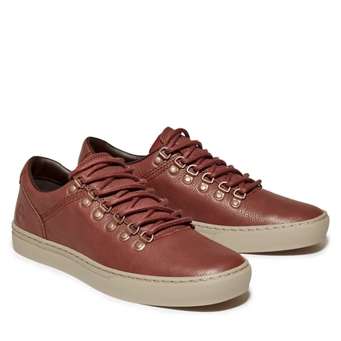 Mænd Adventure 2.0 Cupsole Alpine Træner Brun Timberland