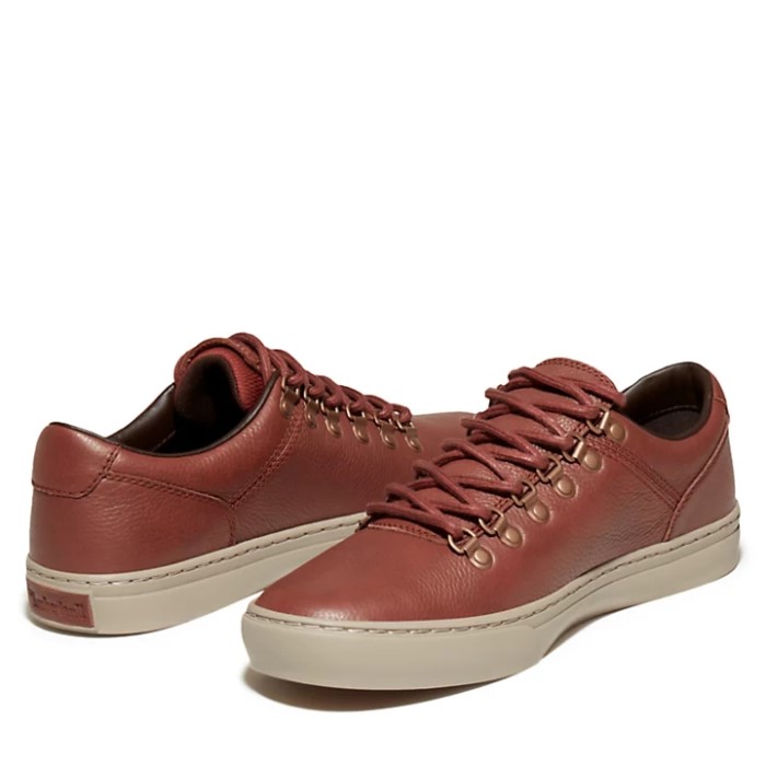 Mænd Adventure 2.0 Cupsole Alpine Træner Brun Timberland