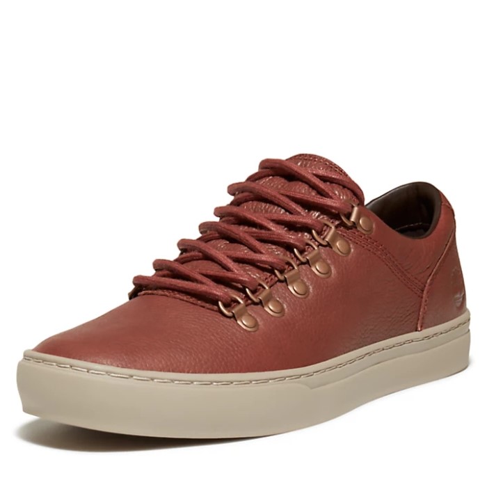 Mænd Adventure 2.0 Cupsole Alpine Træner Brun Timberland