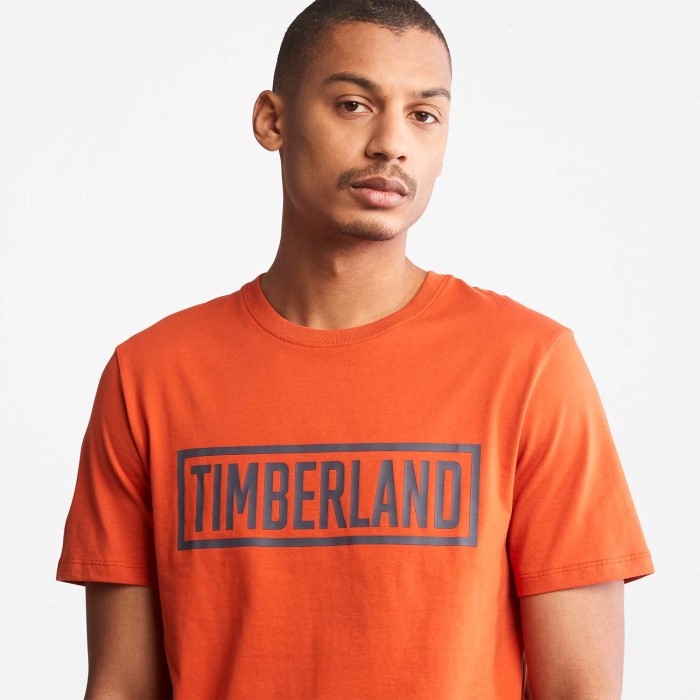 Herre Grafisk Logo T-shirt Timberland
