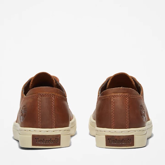 Timberland Brown Men Adventure 2.0 Træner