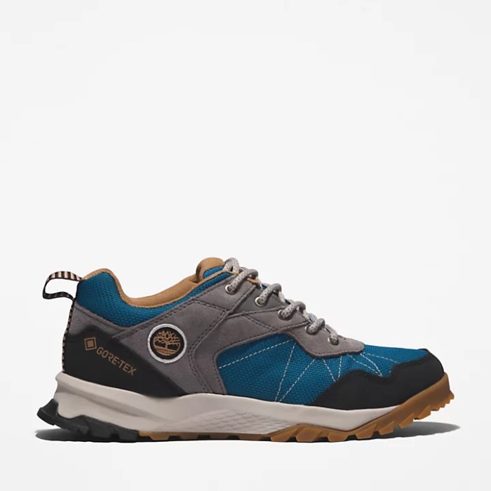 Kvinders Lincoln Peak Gore-tex Low Hiker Grey Timberland