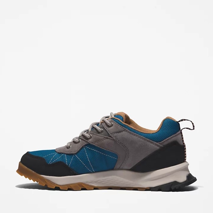 Kvinders Lincoln Peak Gore-tex Low Hiker Grey Timberland