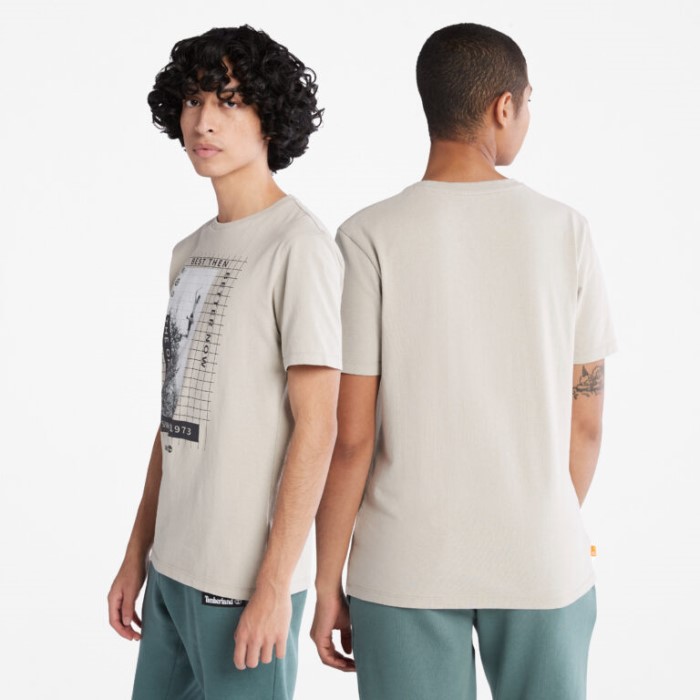 Alle Køn Sværvægter Front-grafisk T-shirt Island Fossil Timberland