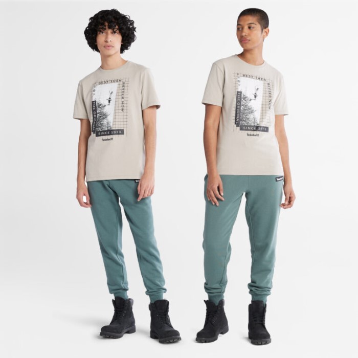 Alle Køn Sværvægter Front-grafisk T-shirt Island Fossil Timberland