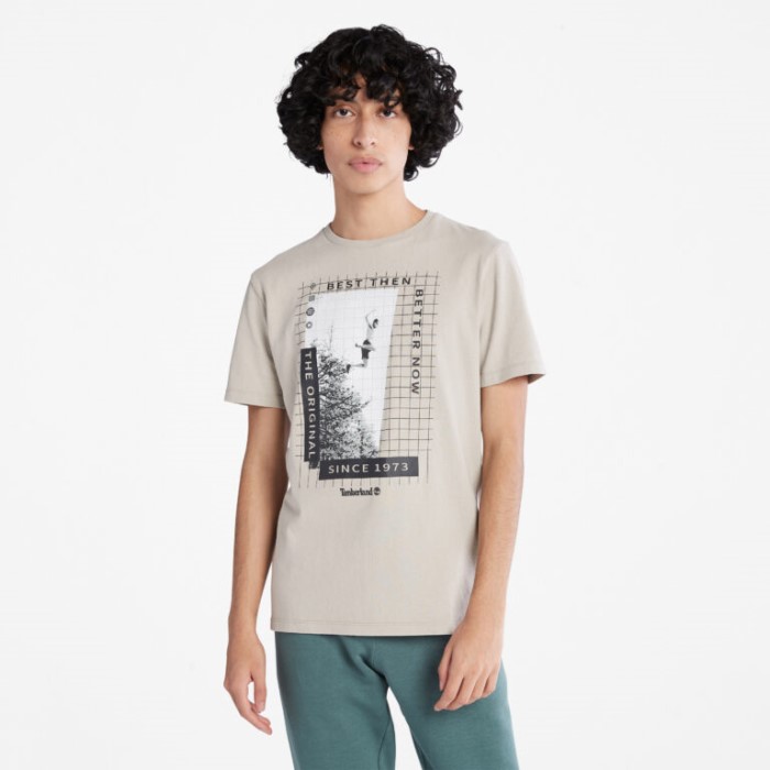 Alle Køn Sværvægter Front-grafisk T-shirt Island Fossil Timberland