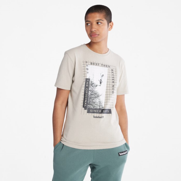 Alle Køn Sværvægter Front-grafisk T-shirt Island Fossil Timberland