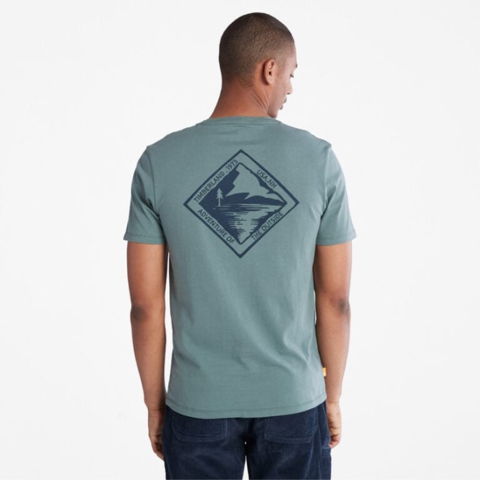 Herre Back-graphic T-shirt Balsam Timberland Green