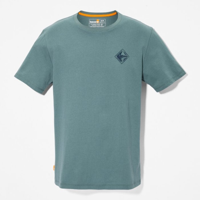 Herre Back-graphic T-shirt Balsam Timberland Green