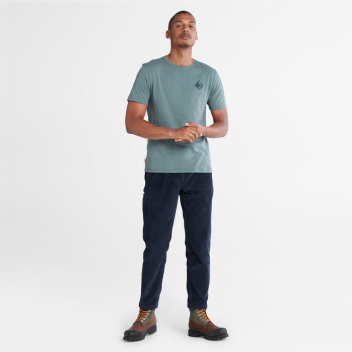 Herre Back-graphic T-shirt Balsam Timberland Green