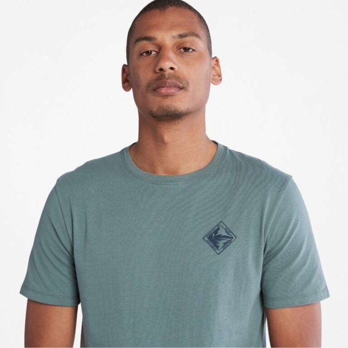 Herre Back-graphic T-shirt Balsam Timberland Green