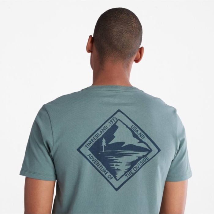Herre Back-graphic T-shirt Balsam Timberland Green