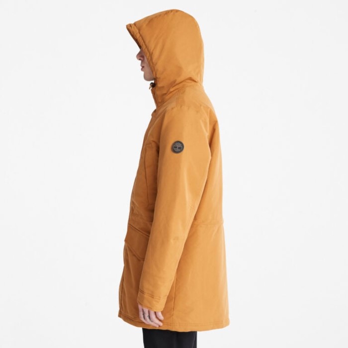 Mænd Isoleret By Parka Wheat Timberland