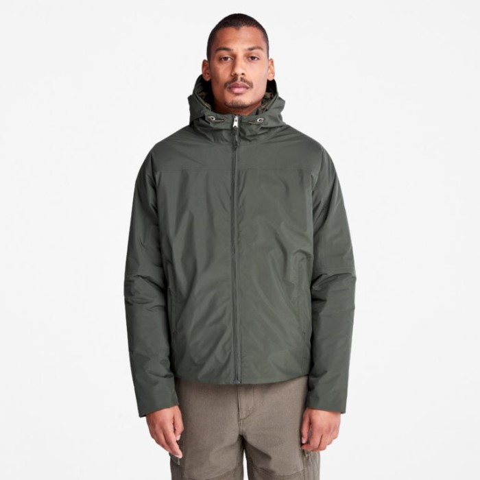 Mænd Lys Isoleret Jakke Grøn Timberland