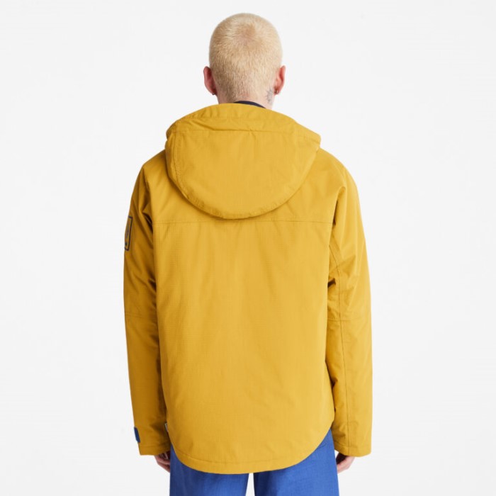 Mænd Bjergby Vandtæt Isoleret Jakke Golden Palm Timberland