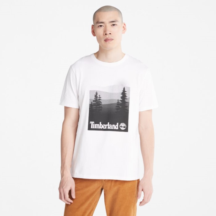 Mænd Fotografisk Print T-shirt Hvid Timberland