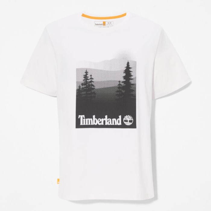 Mænd Fotografisk Print T-shirt Hvid Timberland