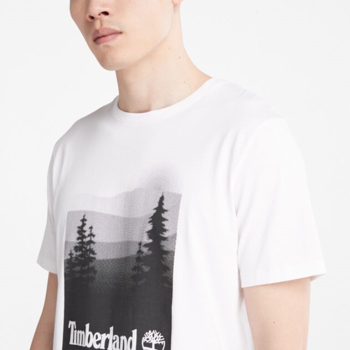 Mænd Fotografisk Print T-shirt Hvid Timberland