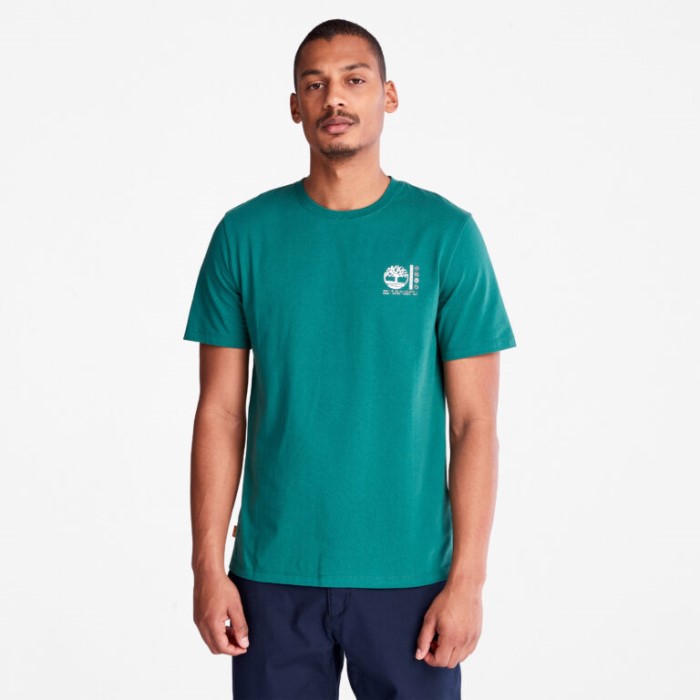 Fotografisk T-shirt Til Mænd Posy Green Timberland
