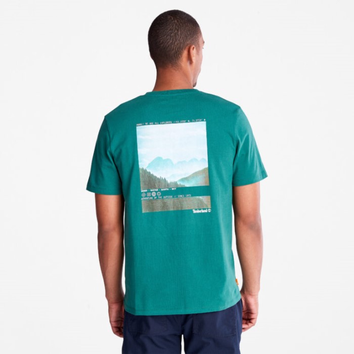Fotografisk T-shirt Til Mænd Posy Green Timberland