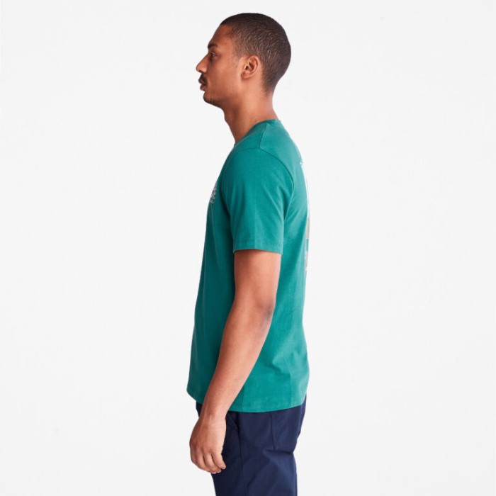 Fotografisk T-shirt Til Mænd Posy Green Timberland