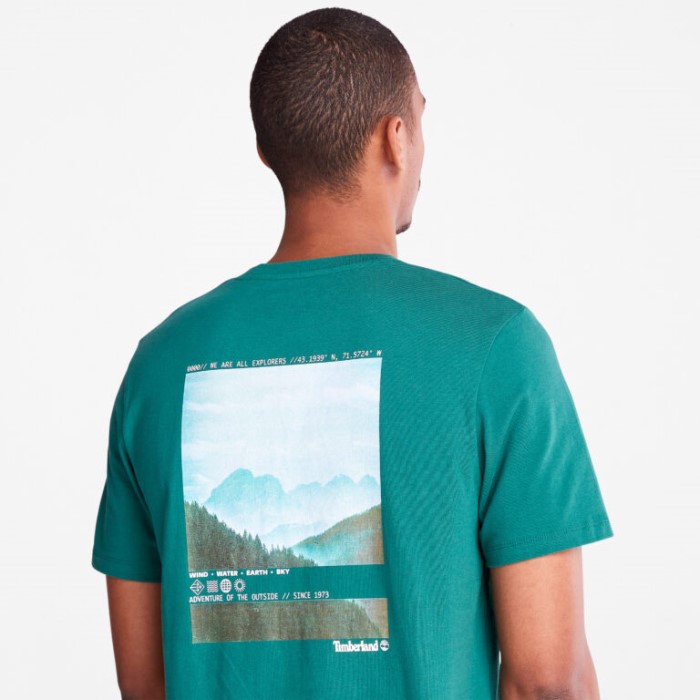 Fotografisk T-shirt Til Mænd Posy Green Timberland