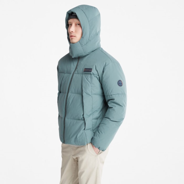 Mænd Vandafvisende Gåseøje Genbrugsdun Parka Balsam Grøn Timberland