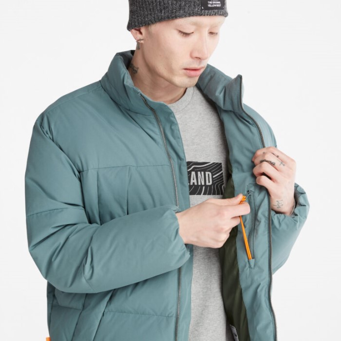 Mænd Vandafvisende Gåseøje Genbrugsdun Parka Balsam Grøn Timberland