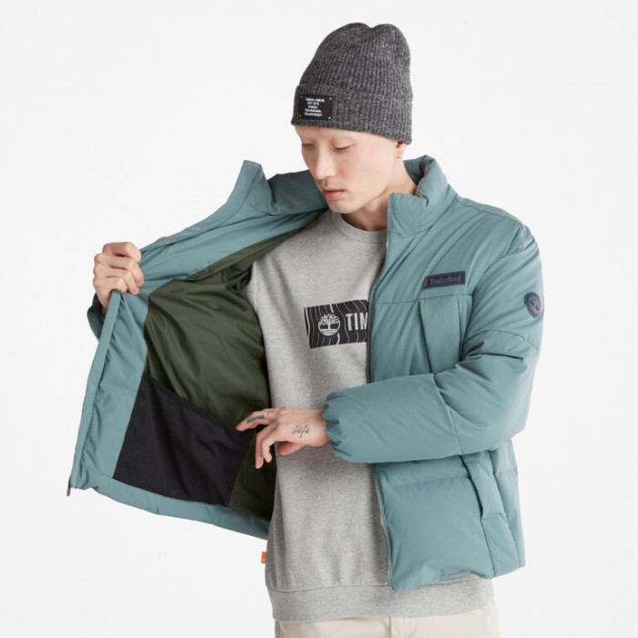 Mænd Vandafvisende Gåseøje Genbrugsdun Parka Balsam Grøn Timberland