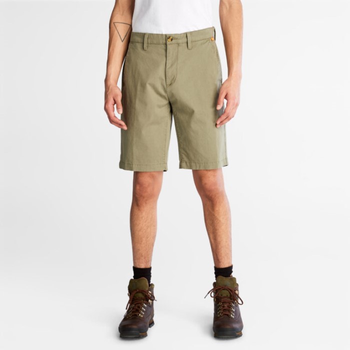 Timberland Cassel Earth Mænd Squam Lake Stretch Chino-shorts