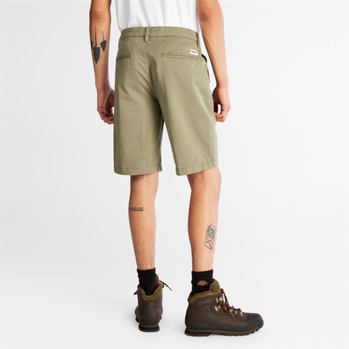 Timberland Cassel Earth Mænd Squam Lake Stretch Chino-shorts