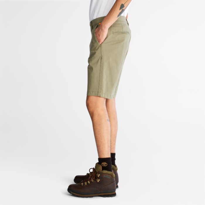 Timberland Cassel Earth Mænd Squam Lake Stretch Chino-shorts
