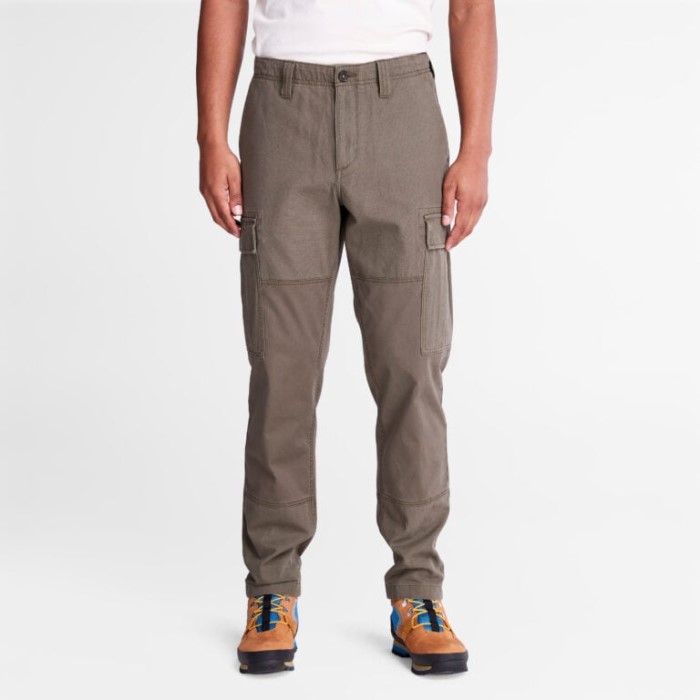 Timberland Grape Leaf Herre Cargo Bukser