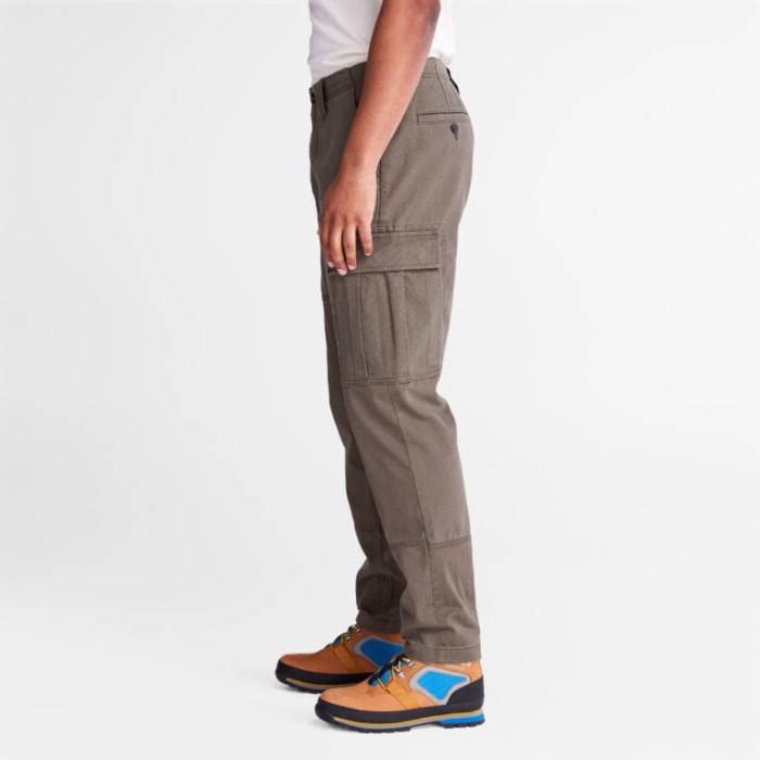 Timberland Grape Leaf Herre Cargo Bukser