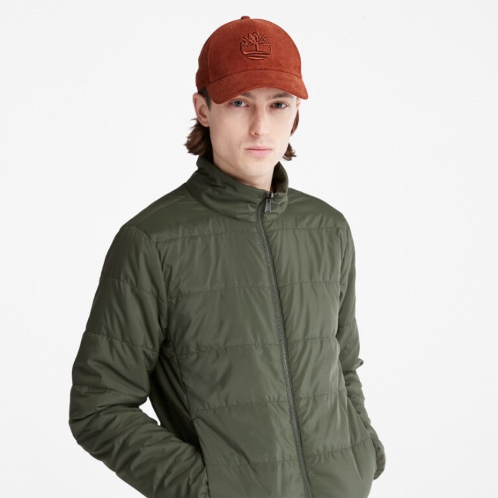 Timberland Grape Leaf Men Snowdon Peak 3-i-1 Fishtail Parka Med Dry Vent Teknologi