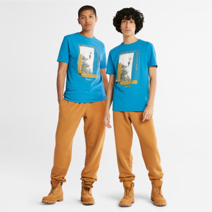 Timberland Sea Of ​​belize Tungvægts T-shirt Med Frontgrafik