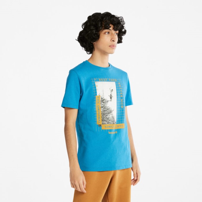 Timberland Sea Of ​​belize Tungvægts T-shirt Med Frontgrafik